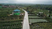 Keempat ruas jalan tersebut ditangani perbaikan kondisi nya oleh Kementerian PUPR sesuai Instruksi Presiden (Inpres) No. 3 Tahun 2023 tentang Percepatan Peningkatan Konektivitas Jalan Daerah.