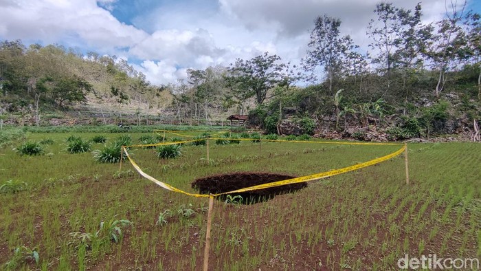 Penampakan sinkhole di Rongkop, Gunungkidul, Senin (22/1/2024).