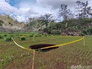 Geger Kemunculan 2 Sinkhole Berjejer di Rongkop Gunungkidul