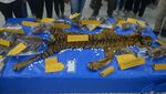 Kasihan! Harimau Ini Jadi Korban Mafia Perdagangan Satwa