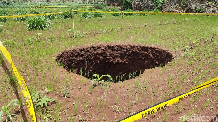 Kondisi sinkhole atau amblesan tanah di tengah sawah di Padukuhan Wuni, Kalurahan Melikan, Kapanewon Rongkop, Kabupaten Gunungkidul, Senin (22/1/2024)