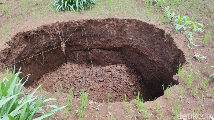 Kondisi sinkhole atau amblesan tanah di tengah sawah di Padukuhan Wuni, Kalurahan Melikan, Kapanewon Rongkop, Kabupaten Gunungkidul, Senin (22/1/2024)