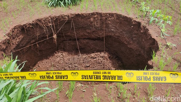 Kondisi sinkhole atau amblesan tanah di tengah sawah di Padukuhan Wuni, Kalurahan Melikan, Kapanewon Rongkop, Kabupaten Gunungkidul, Senin (22/1/2024)
