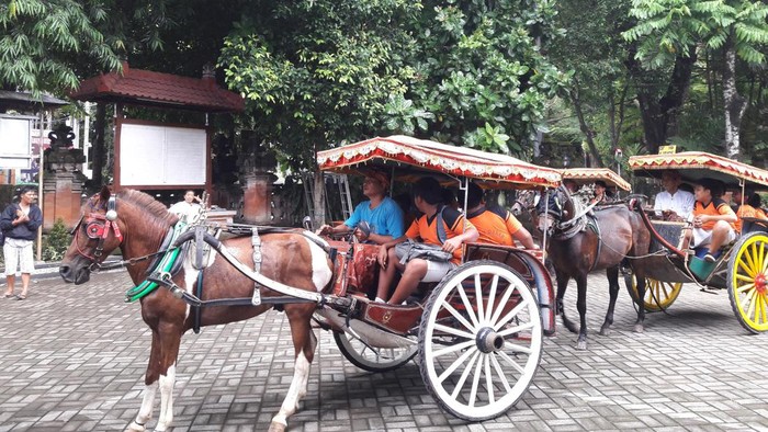 Suasana layanan dokar gratis di Kota Denpasar, Bali. (Dok. Kabid Pengembangan Destinasi Pariwisata Dinas Pariwisata Kota Denpasar I Gusti Agung Komang Widnyana)