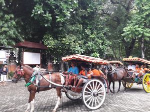 Hore! Layanan Dokar Gratis di Denpasar Hadir Lagi Mulai Februari 2024