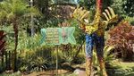 Seru-seruan di Eco Green Park: Bertemu Burung yang Tak Bisa Terbang