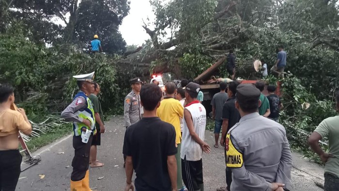 Angin kencang terjadi di Desa Sereka, Kecamatan Babat Toman, Musi Banyuasin (Muba), Sumatera Selatan (Sumsel). Satu pohon besar di pinggir jalan penghubung Sekayu-Lubuklinggau tumbang dan menimpa truk.