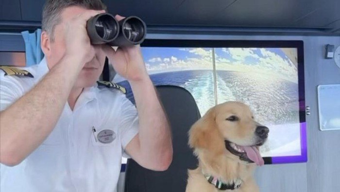 Royal Caribbean pekerjakan Chief Dog Officer untuk menghibur para penumpang.