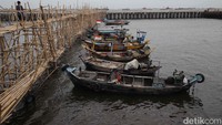 Caranya seperti data, monitoring, penindakan, relokasi jika perlu. Upaya konservasi pada Pantura serta perbaikan tepi pantai itu ada banyak cara, dan tidak melulu bikin tembok. Belum tentu solusinya cocok juga, kata Elisa kepada detikcom, Senin (22/1/2024).  