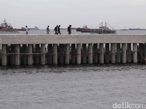 Wamen PU Beri Sinyal Ada Swasta Lokal Minat Masuk Proyek Giant Sea Wall