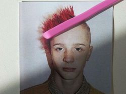 Perpaduan Dua Objek Bikin Mata Tertipu