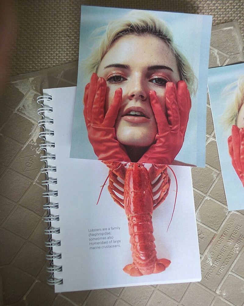 Foto perpaduan dua objek menipu mata