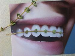 Perpaduan Dua Objek Bikin Mata Tertipu