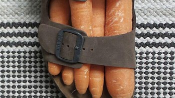 Wortel seperti jari kaki... Foto: Dudi Ben Simob via Boredpanda