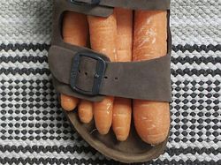 Perpaduan Dua Objek Bikin Mata Tertipu