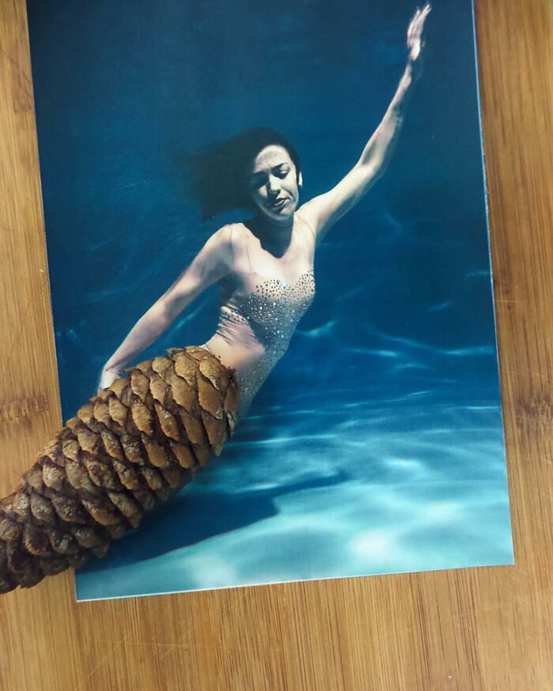 Foto perpaduan dua objek menipu mata