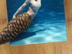 Perpaduan Dua Objek Bikin Mata Tertipu