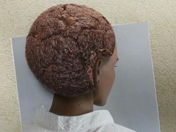 Perpaduan Dua Objek Bikin Mata Tertipu