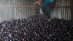 Harga Bubuk Kopi Tradisional Naik!