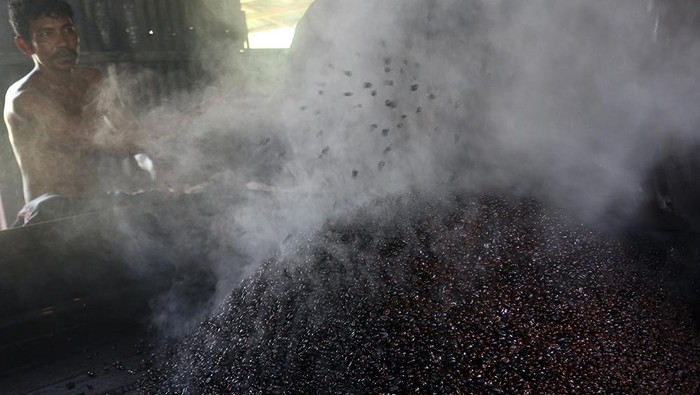 Harga Bubuk Kopi Tradisional Naik Pekerja mendinginkan bahan baku biji kopi robusta untuk pembuatan bubuk kopi setelah proses penyangraian di Desa Kuta Padang, Johan Pahlawan, Aceh Barat, Aceh, Selasa (23/1/2024). Menurut pengusaha bubuk kopi, harga bubuk kopi tradisional rata-rata mengalami kenaikan Rp15 ribu per kilogram, untuk kualitas bubuk halus sebelumnya Rp85 ribu menjadi Rp100 ribu per kg, bubuk kasar Rp75 ribu menjadi Rp90 ribu per kg dan bubuk kopi saring Rp70 ribu menjadi Rp85 per kilogram disebabkan tingginya harga bahan baku biji kopi robusta yang mencapai Rp55 ribu hingga Rp65 per kilogram. ANTARA FOTO/Syifa Yulinnas/Spt.