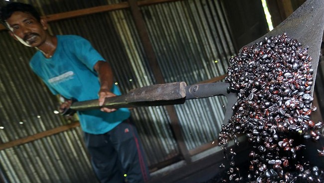 Harga Bubuk Kopi Tradisional Naik