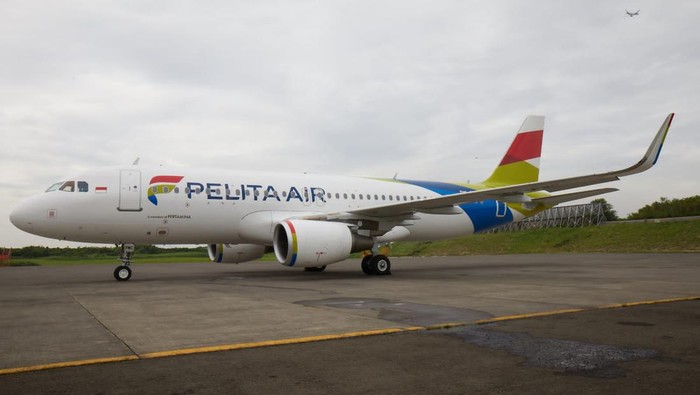 Ilustrasi pesawat Pelita Air