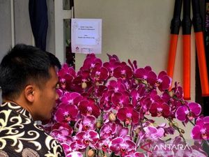 Rangkaian Anggrek Bulan Ungu hingga Lily dari Jokowi di Ultah Megawati