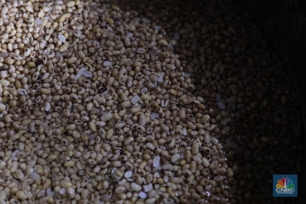 Kacang kedelai pada salah satu pabrik tahu di Jakarta, Selasa (23/1/2024). (CNBC Indonesia/Faisal Rahman)