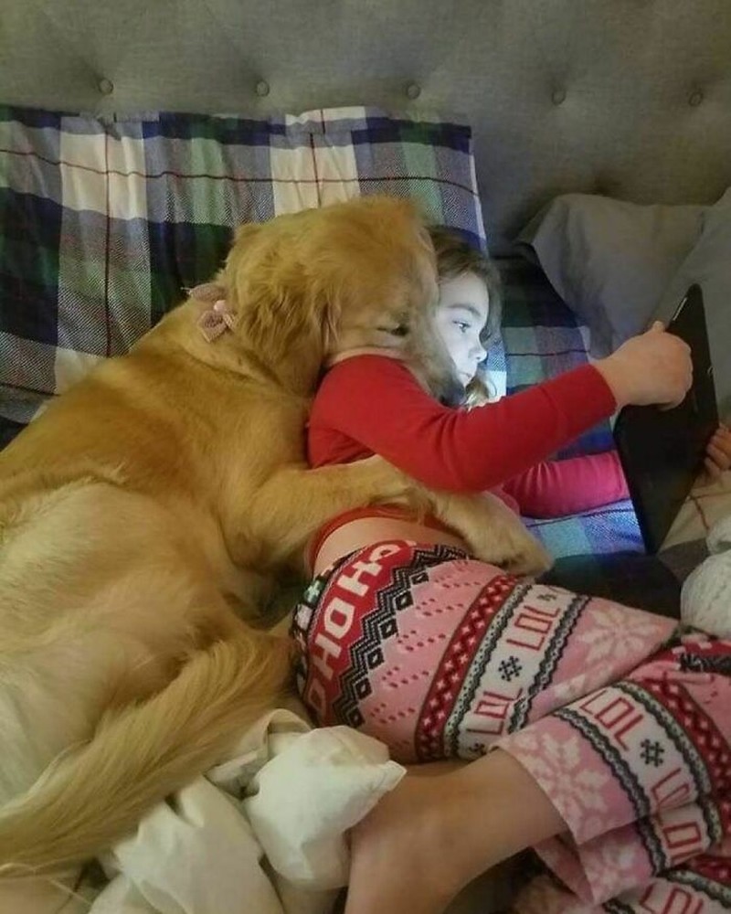 Pasti ada aja deh tingkah anjing dan kucing yang bikin kita senyum-senyum sendiri. Beberapa di antaranya seperti deretan foto berikut ini.