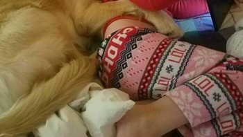 Apakah ini termasuk definisi anjing yang setia dengan pemiliknya? Foto: (Bored Panda).