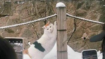 Gimana detikers, gayanya udah oke belum nih? Foto: (Bored Panda).