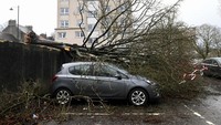 Sebuah mobil rusak akibat pohon tumbang saat Badai Isya di Linlithgow, Skotlandia, Inggris 22 Januari 2024.