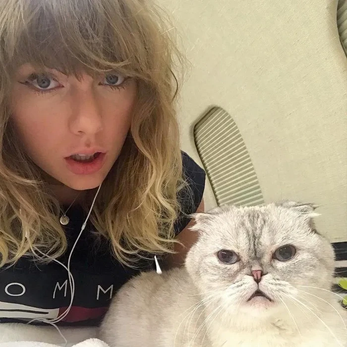 Olivia Benson, Kucing Taylor Swift.