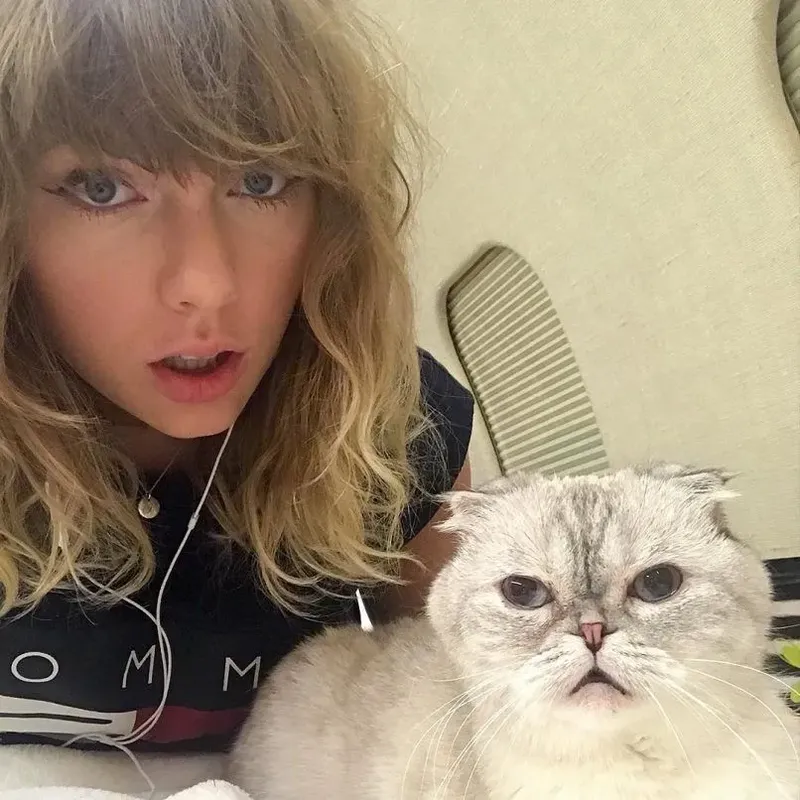 Olivia Benson, Kucing Taylor Swift.
