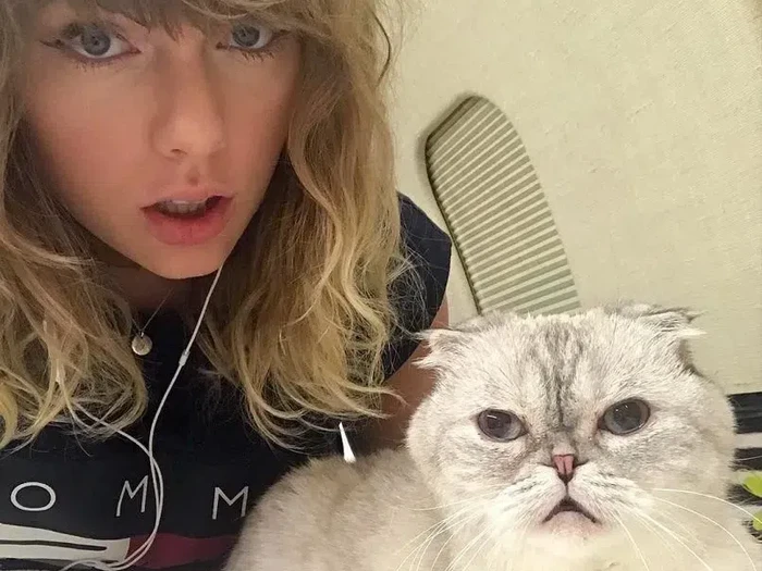 Olivia Benson, Kucing Taylor Swift.