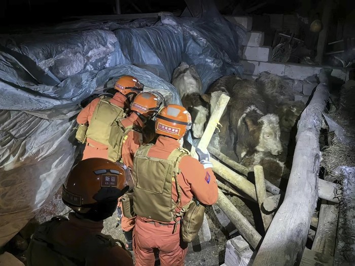 Petugas penyelamat menyisir reruntuhan di Xinjiang usai gempa mengguncang perbatasan China dan Kyrgyzstan. (Wang Xudong/Xinhua via AP)