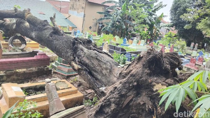 20 makam di tempat pemakaman umum kawah tengkurep rusak tertimpa pohon besar yang tumbang.