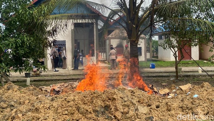 Balai Karantina Hewan, Ikan dan Tumbuhan Papua Barat Daya memusnahkan 1,6 ton daging olahan ilegal.