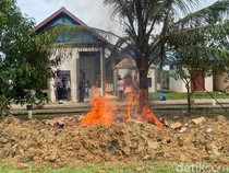 Balai Karantina Papua Barat Daya Musnahkan 1,6 Ton Daging Olahan Ilegal