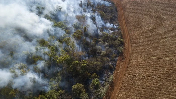 Deforestasi Hutan Amazon Brasil