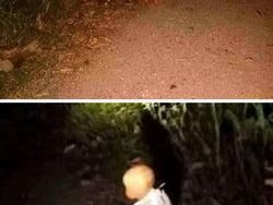 Dikira Penampakan Hantu, Tahunya... Wak Waw