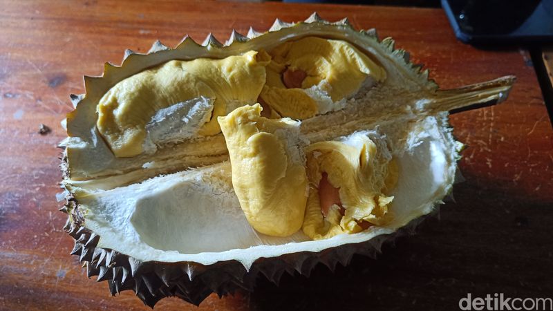 Durian Kromo organik asal wilayah Desa Plana, Kecamatan Somagede, Kabupaten Banyumas.