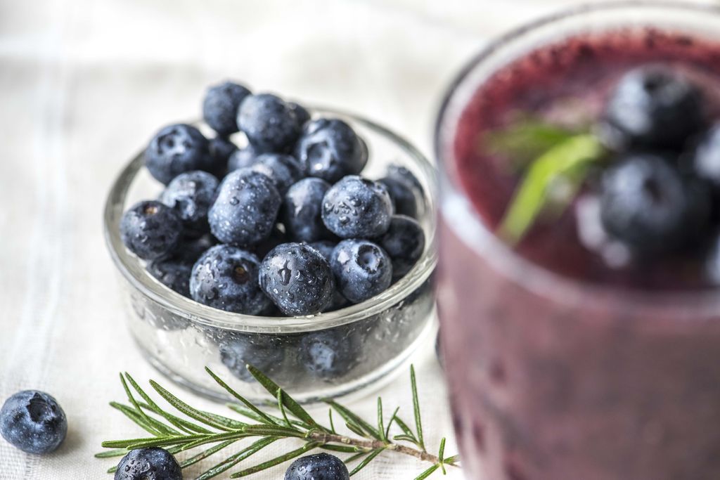 Ilustrasi buah blueberry. (Freepik) Ilustrasi buah blueberry. (Freepik)