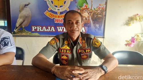 Kasatpol PP Kabupaten Jembrana I Made Leo Agus Jaya saat ditemui detikBali dikantornya, Rabu (24/1/2024).