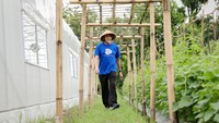 Calon Anggota Legislatif DPR RI Dapil DIY, Sri Purnomo terus konsisten menyerap aspirasi dari para petani di Sleman. Tidak hanya di petani di sektor pertanian, namun juga petani di sektor perikanan dan peternakan.