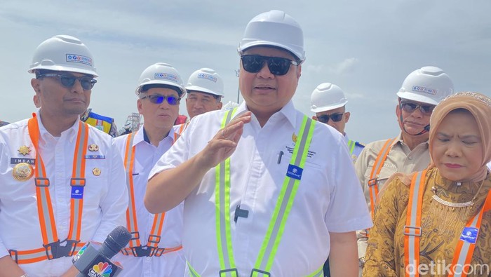 Menko Perekonomian Airlangga Hartarto. (Devi/detikcom)