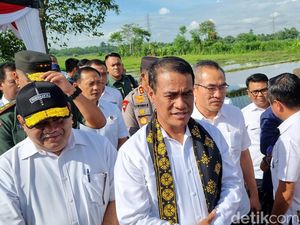 Mentan Klaim Indonesia Sudah Lewati Krisis Pangan: 3 Bulan Lagi Puncak Panen