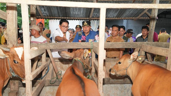 Pj Gubernur Sulsel Bahtiar Baharuddin mengunjungi peternakan di Bone.