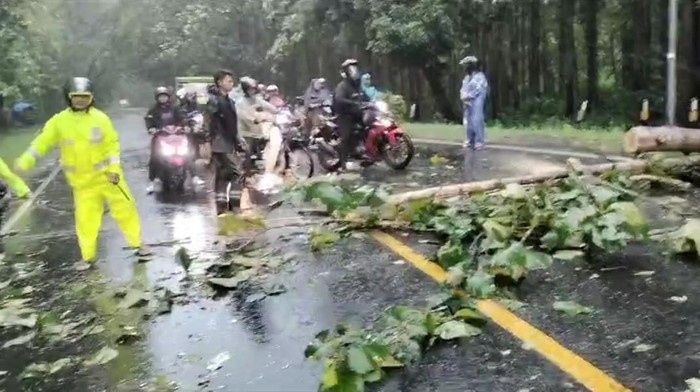 Pohon Tumbang di Arteri Ngawi-Solo, Pengguna Jalan Diimbau Masuk Tol