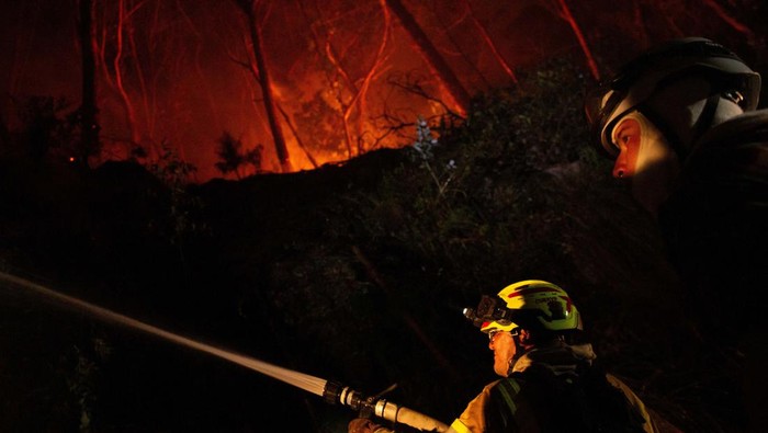 Firefighters get into a fire truck during emergency response to extinguish a forest fire on a hill in Bogota, Colombia January 24, 2024. REUTERS/Antonio Cascio